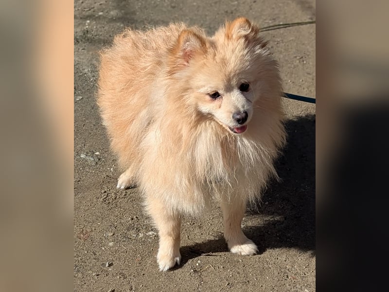 Moritz wartet auf sein Für-Immer-Zuhause