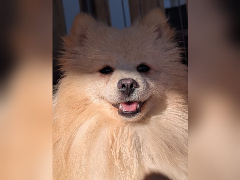 Moritz wartet auf sein Für-Immer-Zuhause