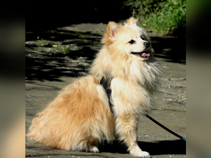 Moritz wartet auf sein Für-Immer-Zuhause