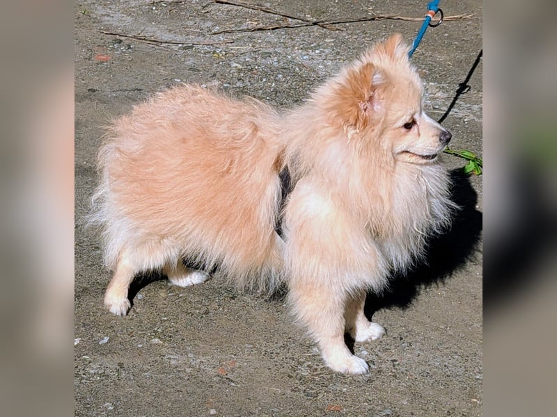 Moritz wartet auf sein Für-Immer-Zuhause