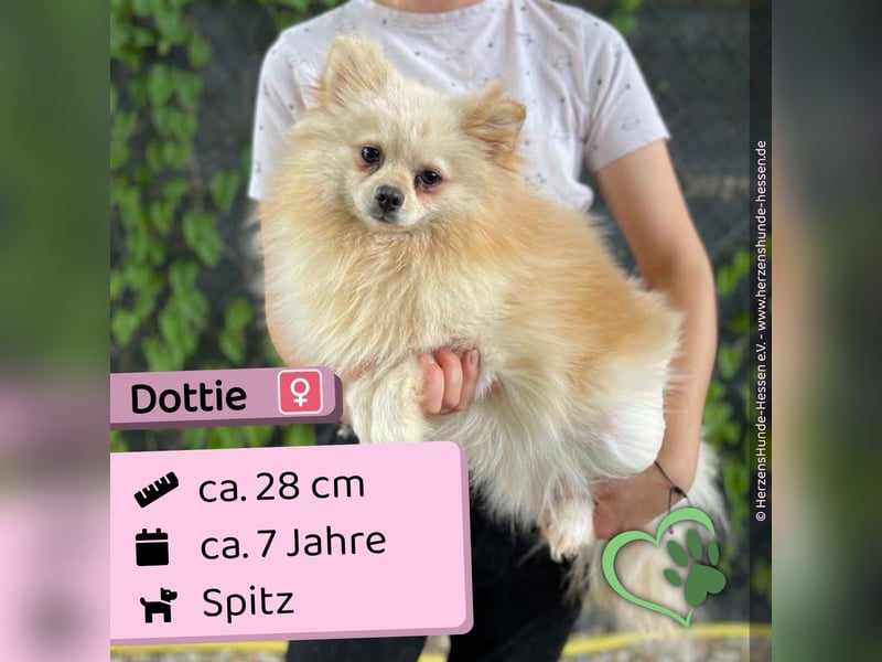 Dottie
