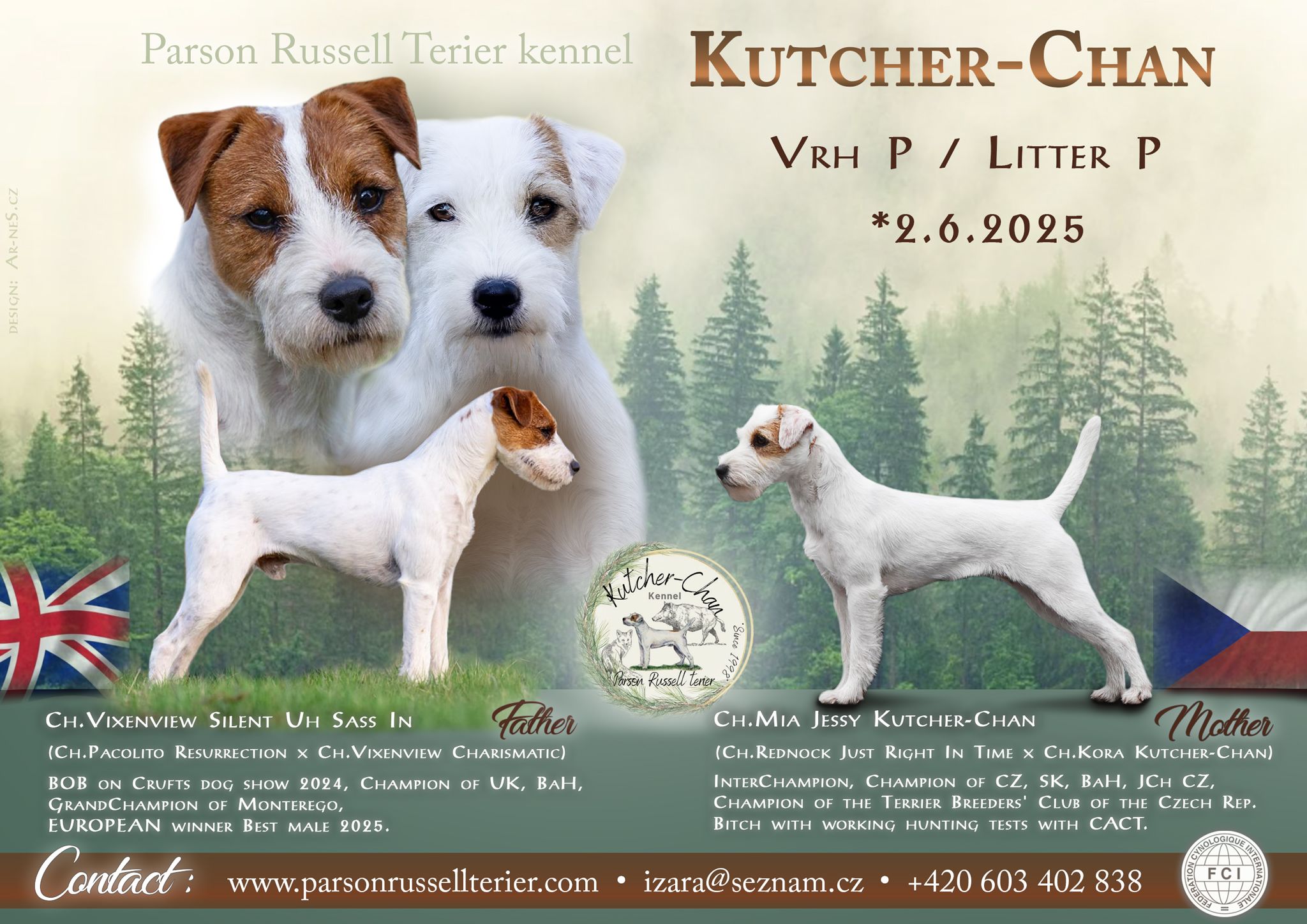 Parson Russell Jack Russel Welpen Mit Papieren Züchter Parson Jack