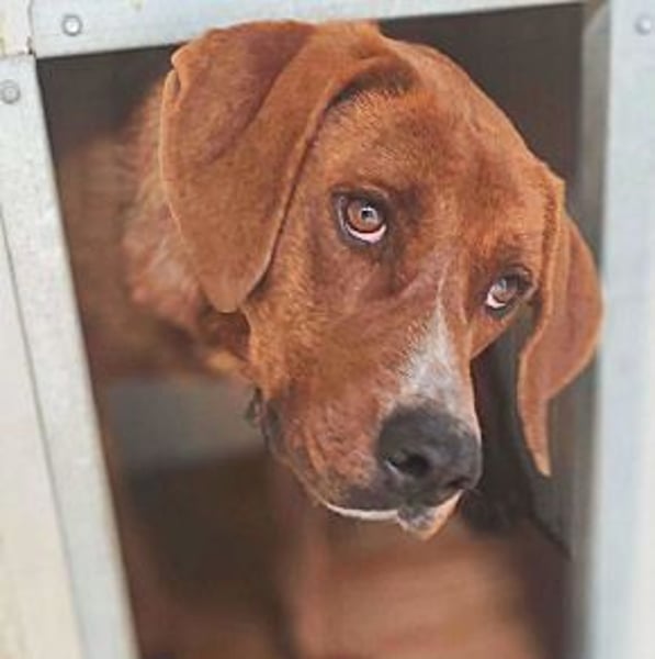 Artù – auf der Suche nach einem familiären Bildungsweg