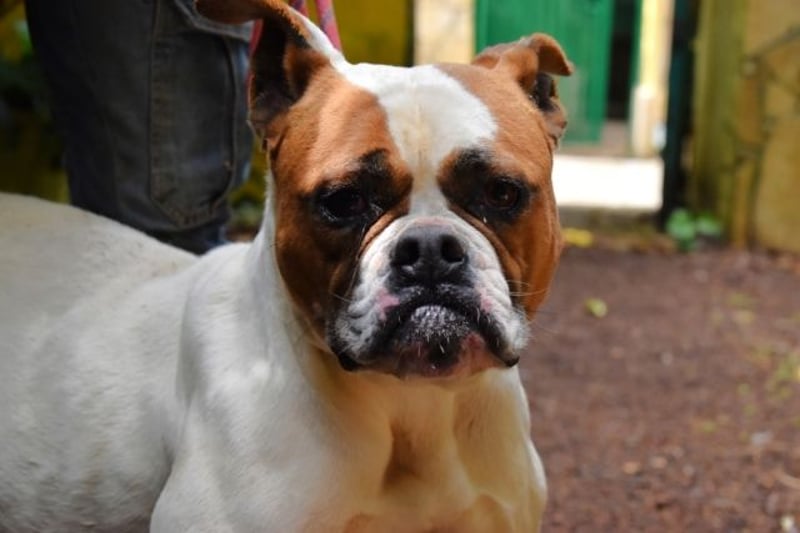 Nereida - Ein harter Platz für ein weiches Herz