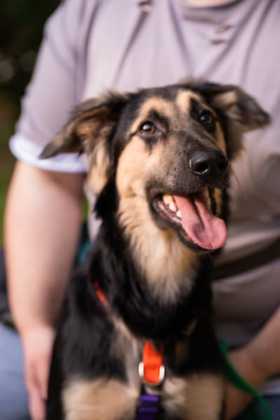 Der mutige Philip sucht seine Menschen