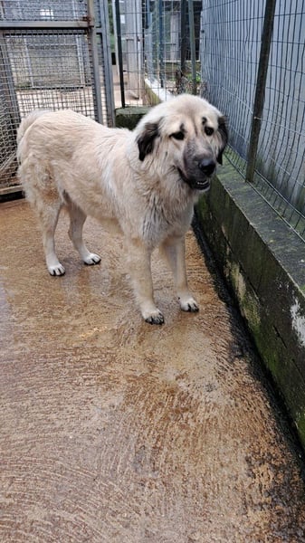 Fiorella sucht ihr passendes Zuhause