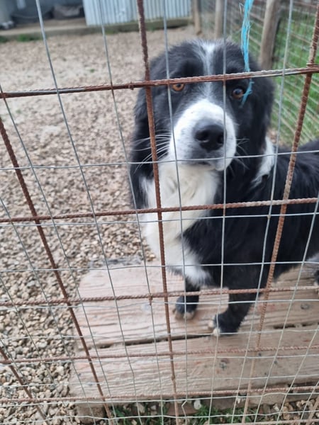 Elia sucht sein Glück