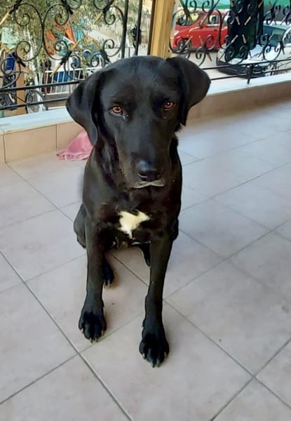 Naomi hat ein Herz aus Gold