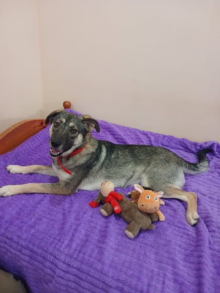 Verzaubert Lori dich mit ihren augen ?!