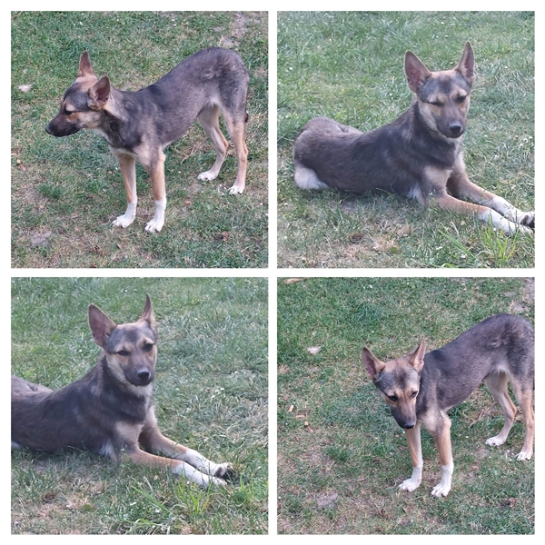 Bonny & Clyde