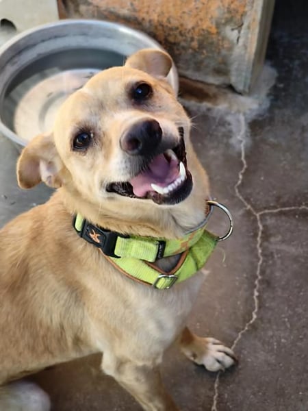 ❤️ ZAFIRO ❤️