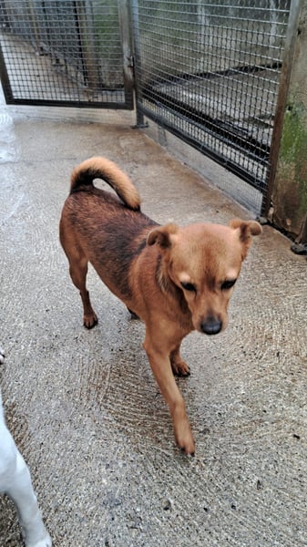 Olmino sucht sein Glück