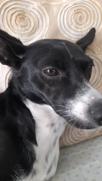 Margot möchte ankommen