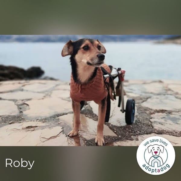 Roby: Einschränkungen? Nein danke!