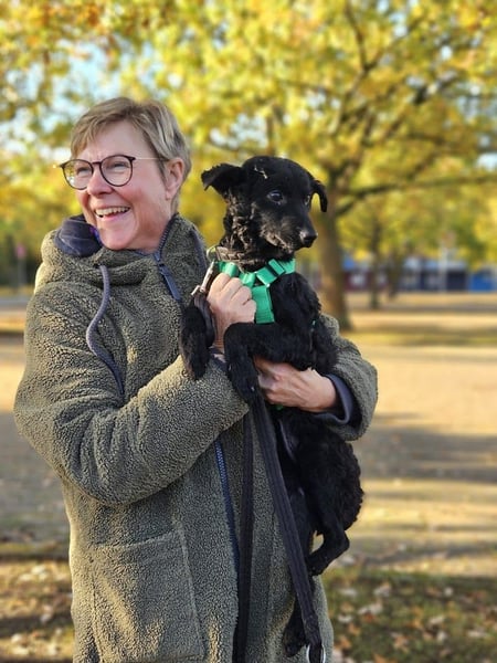 Yuna kroatischer Schäferhund Mischling Hündin sucht Zuhause für immer