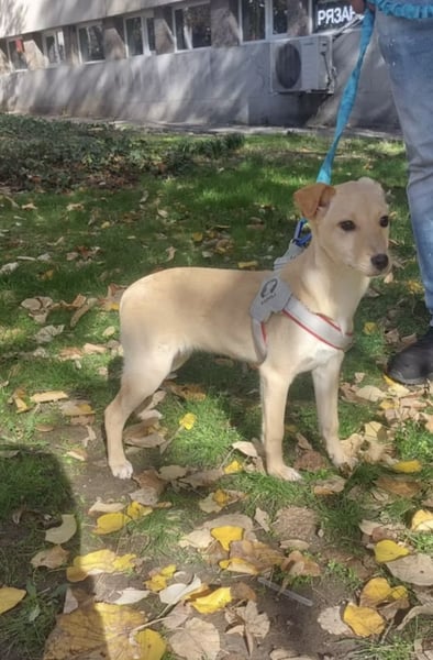 Liah- ist bereit ihr Zuhause für immer zu finden