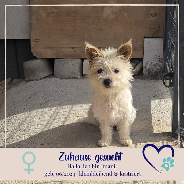 Imani - heisst Glaube und wir glauben an ein Happy End