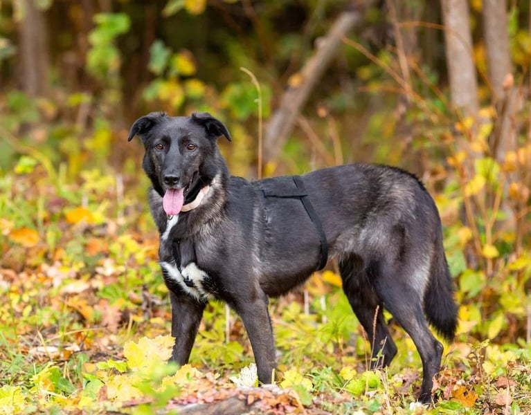 Wunderschöne Jasmine mochte geliebt werden