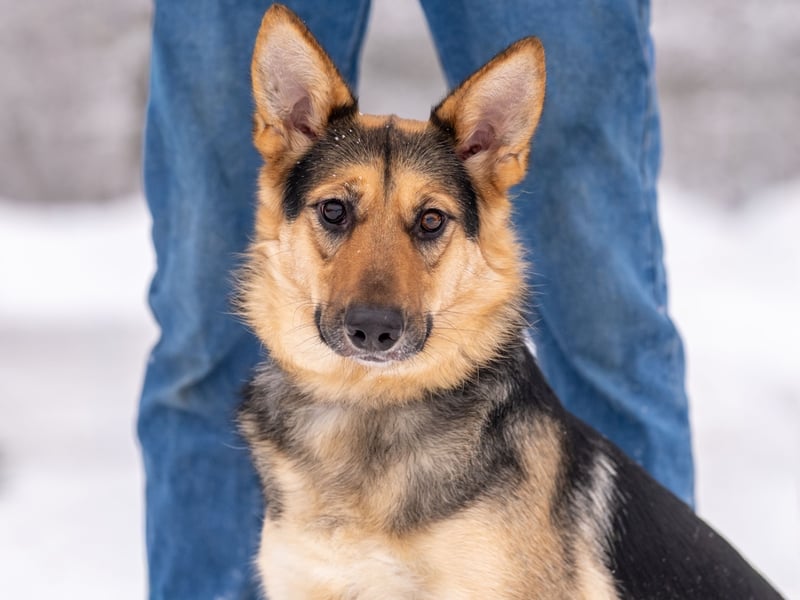 Kann Vishnja dich verzaubern ?!