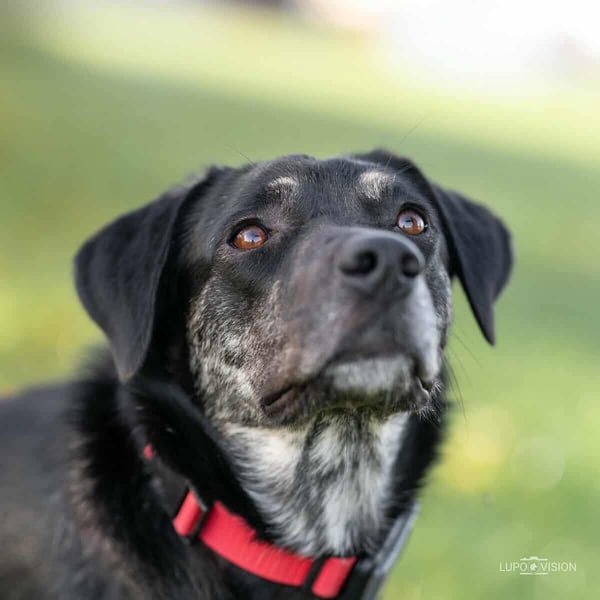 Sonia - ein Sonnenschein