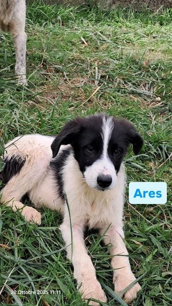 Ares möchte ankommen