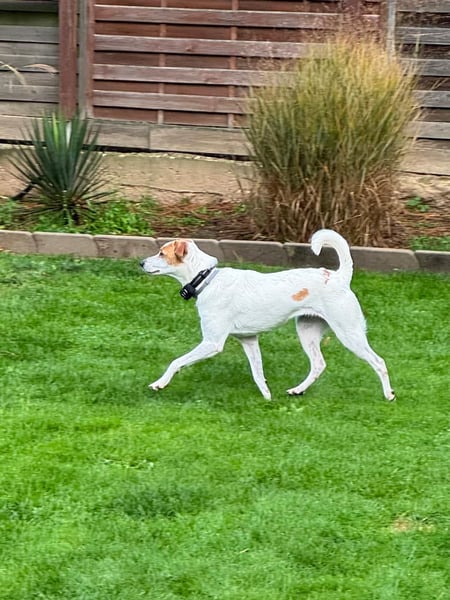 Berna sucht ihre Familie