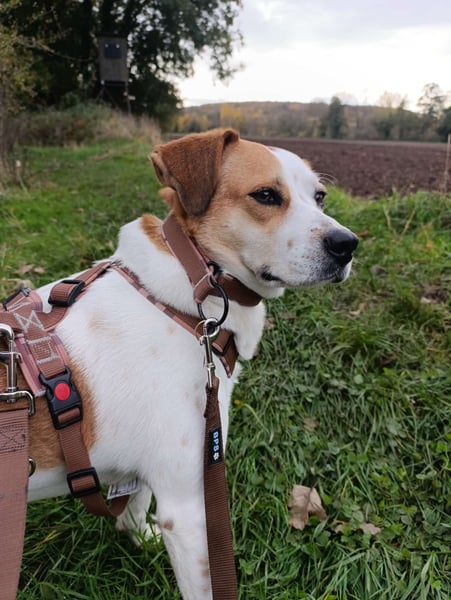 Cuba sucht ihr Glück