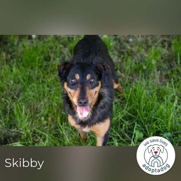Skibby: Fröhlich trotz Enttäuschung