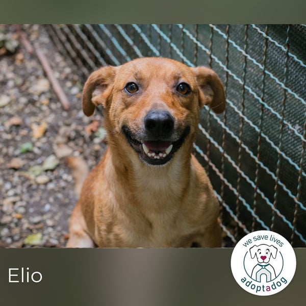 Elio: Gemeinsam statt einsam