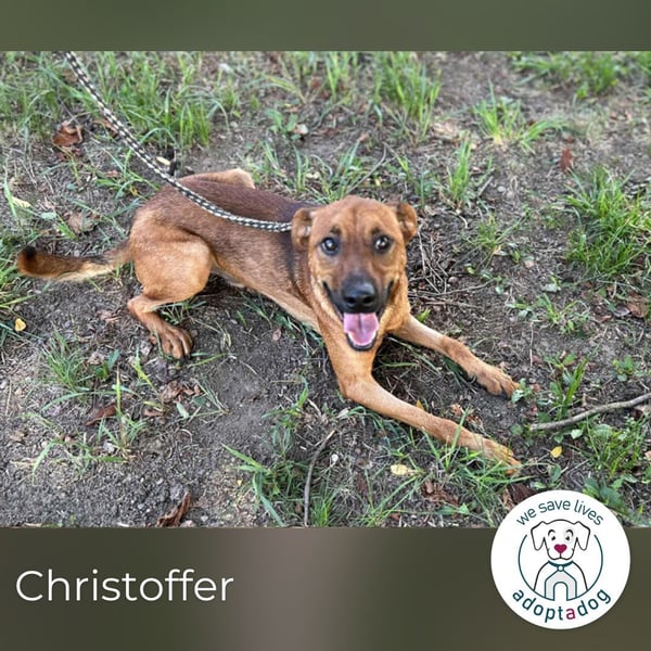 Christoffer: Energiebündel mit großem Herz