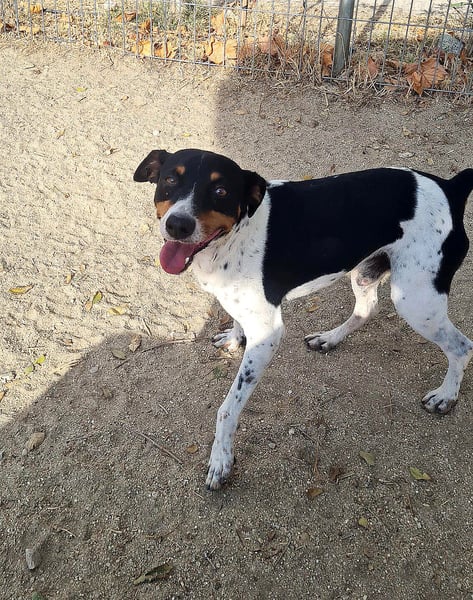Aldi - lebensfroh und aktiv sucht er keine Couchpotatoes