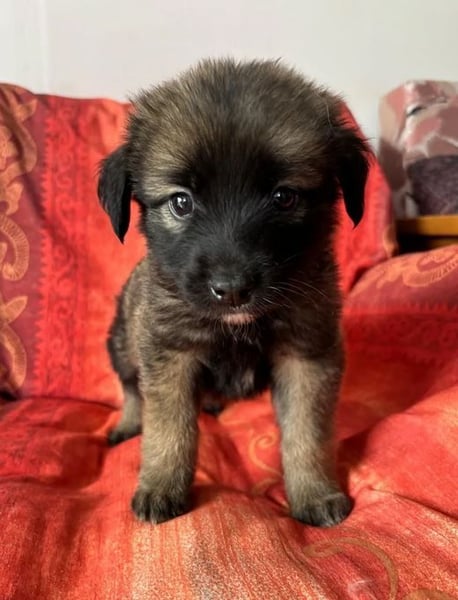 Robby – Der lebensfrohe Sonnenschein