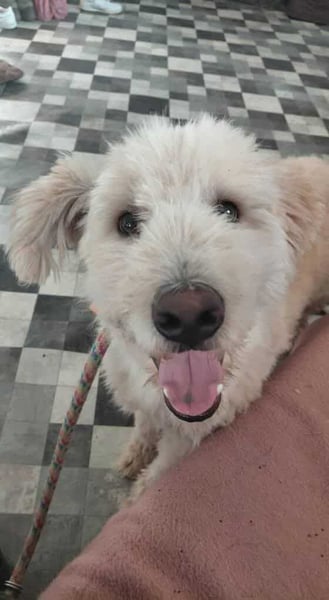 Tino sucht seine Menschen