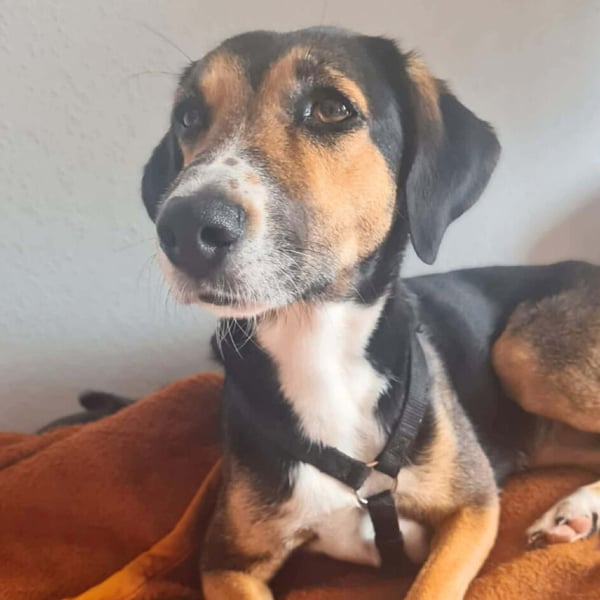 Wanja - lernwillig, aber unsicher