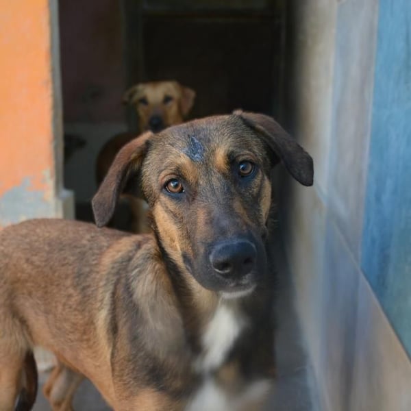 ❤️ CAPITANA ❤️