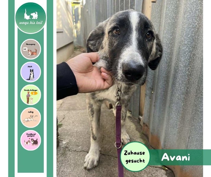 Avani – bereit für ihr neues Leben ❤️