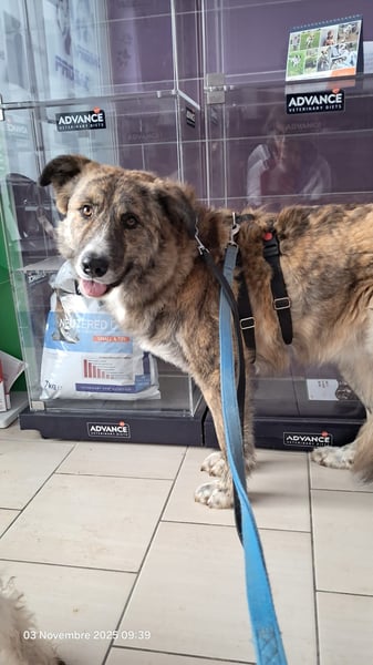 Pupetta sucht ihr für immer Zuhause