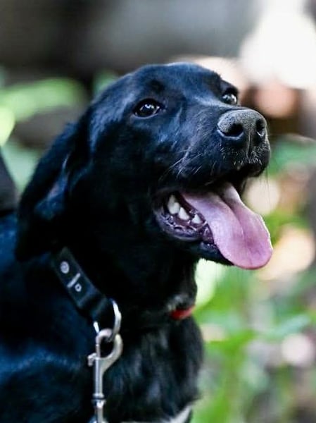 Süßer Charmeur Ulli