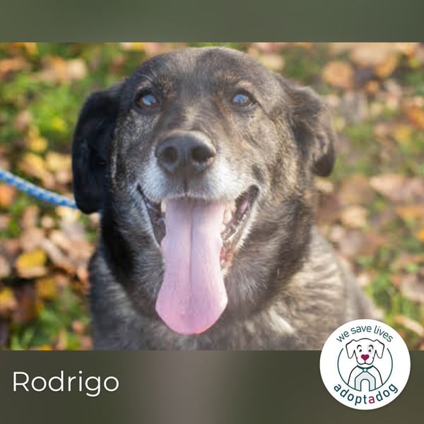 Rodrigo: Geduld zahlt sich aus