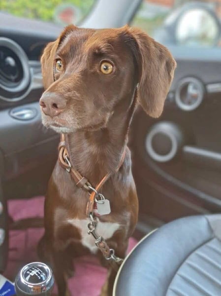 Mira- eigenständig&aktiv