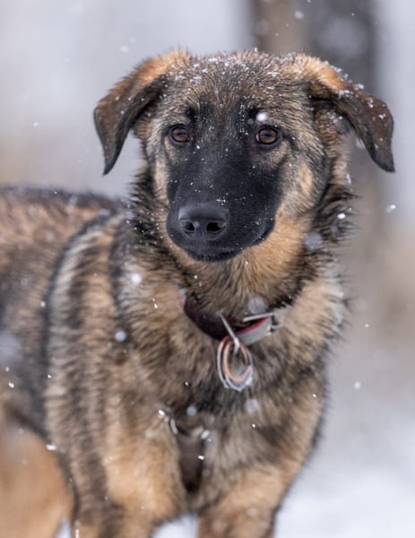Ein Herz für Vasilisa geben Sie ihr eine Chance auf ein glückliches Leben!