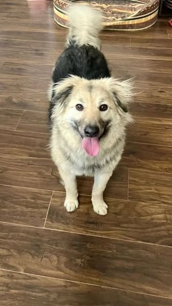 Aktiv und fröhlich durchs Leben mit Lora