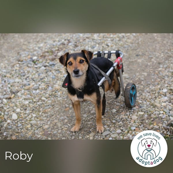 Roby: Einschränkungen? Nein danke!