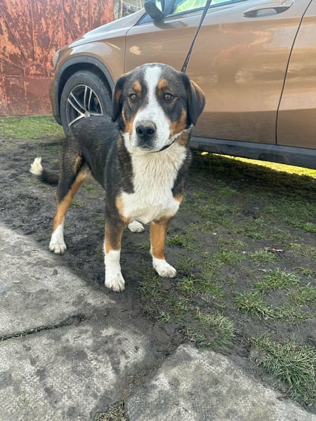 Nova, geboren 03.2025, 58cm sucht ihre Familie