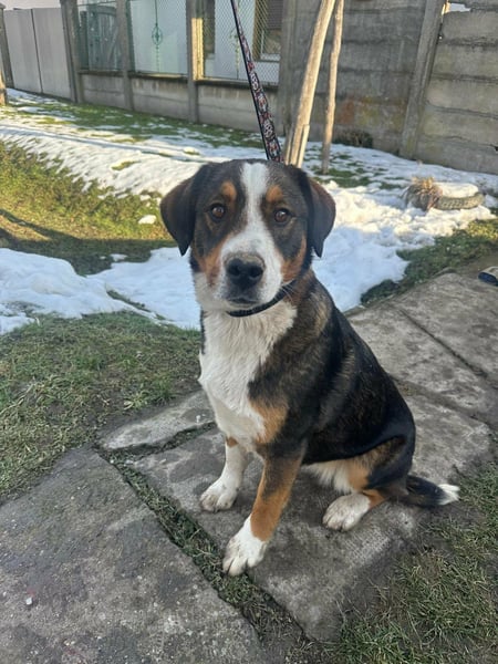 Nova, geboren 03.2025, 58cm sucht ihre Familie