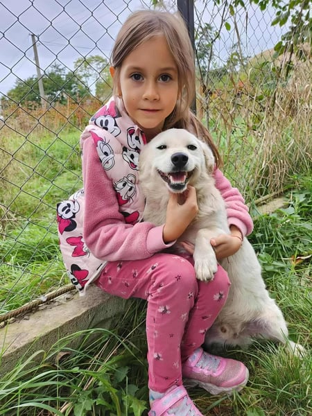 KJELL - gerettet aus Horror Tötung Slatina, Ostern'22