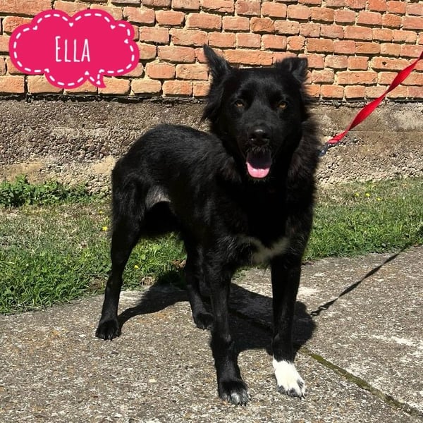 Ella will lieben und geliebt werden