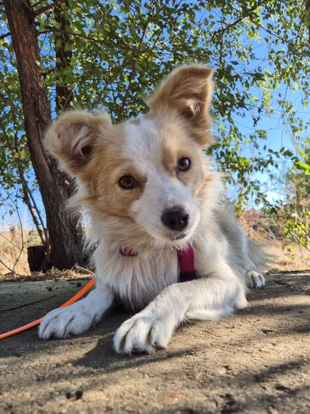 Sanfte Stina sucht Menschen mit Herz