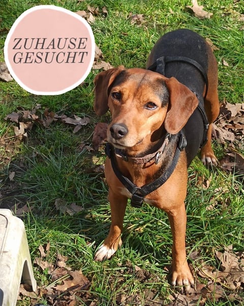 Marta sucht ihre Für-Immer-Familie❤️