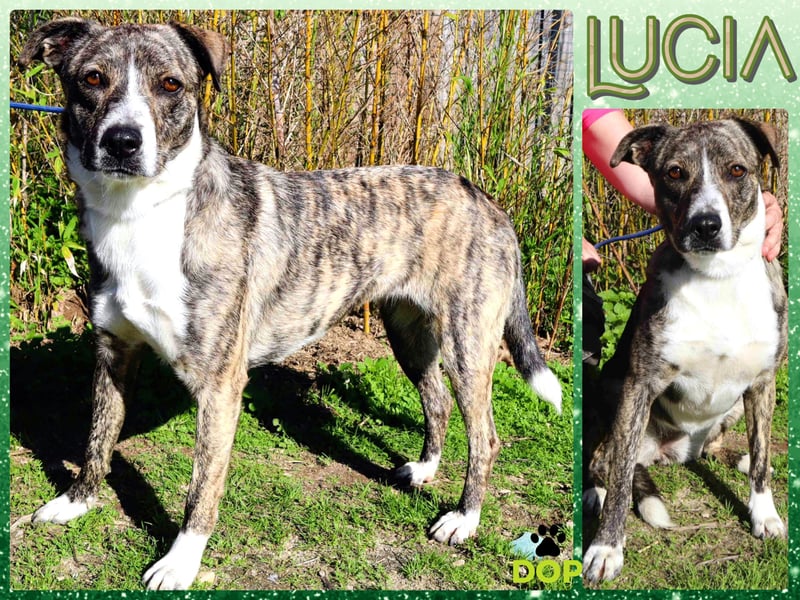 Lucia - sehr freundlich und  kennt das Leben im Haus !